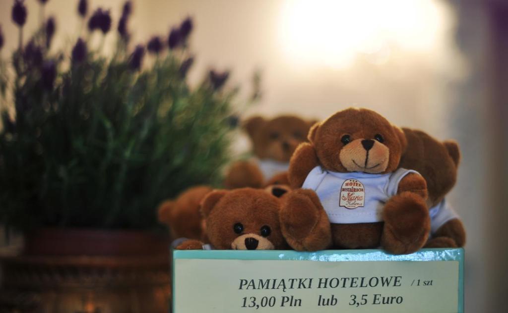 Hotel Maria Helena Szczawno-Zdroj Bagian luar foto